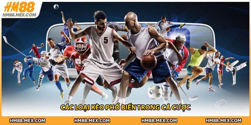 Các loại kèo phổ biến trong cá cược