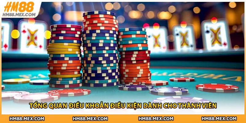 Tổng quan điều khoản điều kiện dành cho thành viên